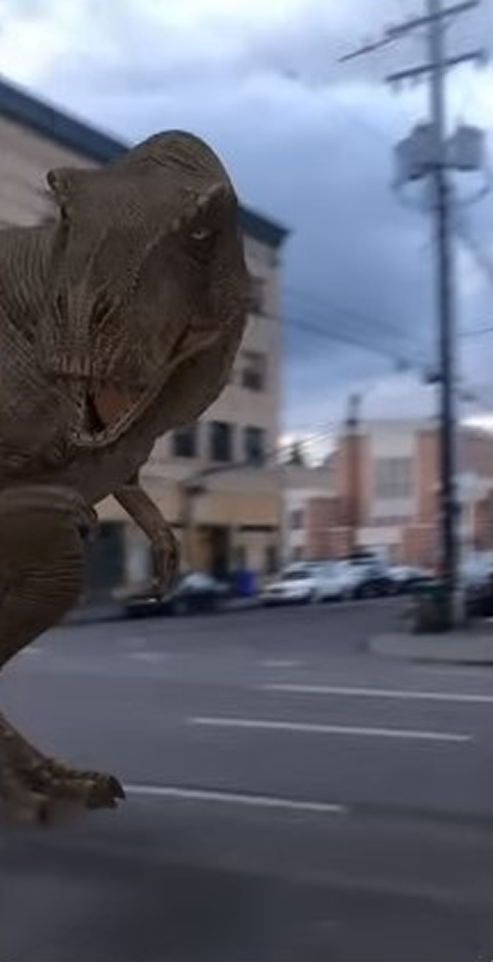 �ȸ�������������3Dģ��