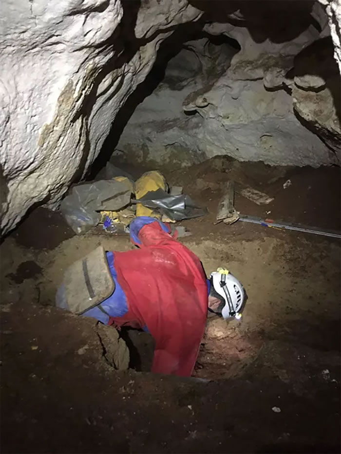 ������ѧ���ڿ������ǡ���������Ѩ���ֹ��ϵ�÷��Ϭţ�Źǻ�ʯ