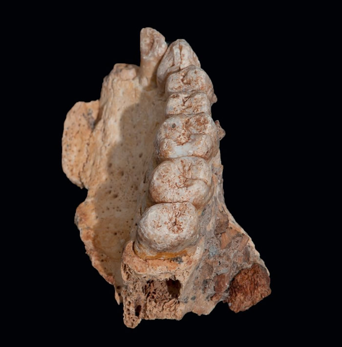 �����������־������ɫ�����о���Ϊ�����п�����20����ǰ�ı���ʱ���߳�����