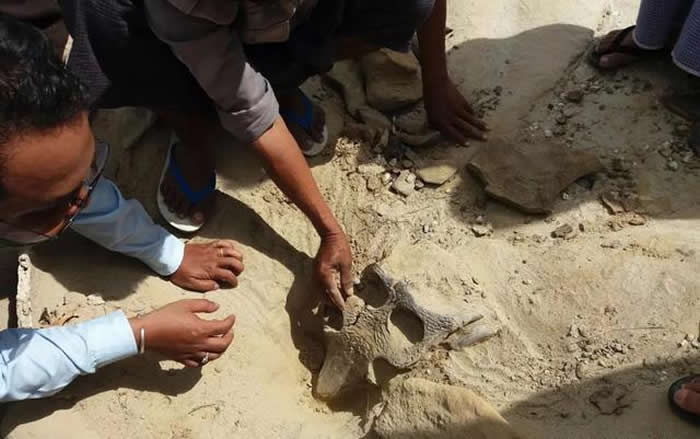 �������ʡ�������ʱ�������ͷ�ǻ�ʯ