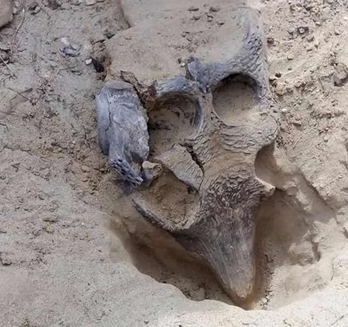 �������ʡ�������ʱ�������ͷ�ǻ�ʯ