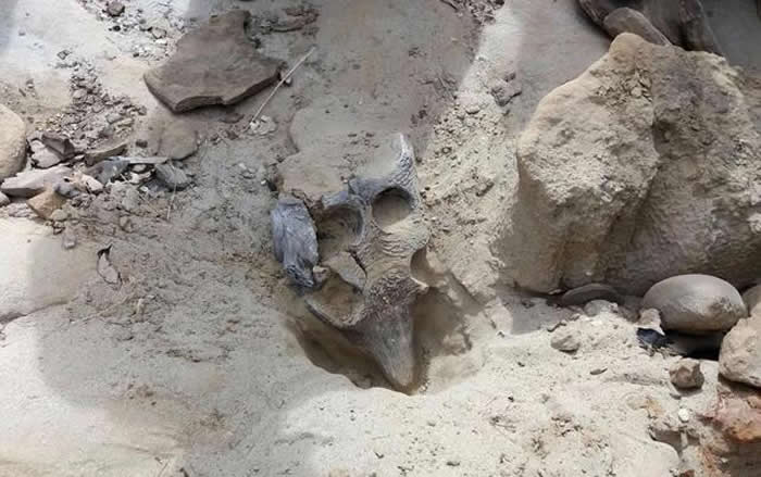 �������ʡ�������ʱ�������ͷ�ǻ�ʯ