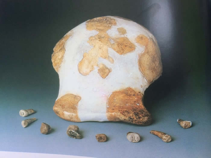 �²��귨���¶�λ��ԴԳ�˻�ʯ�������64��8����