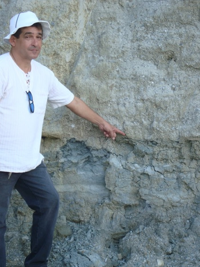 ����������Ʒ�֡�����������Aratasaurus museunacionali ���й��½���������Ե��ϵ