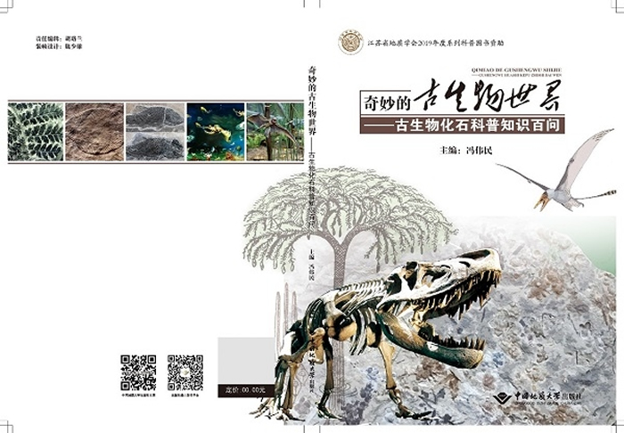 ������Ĺ��������硪�������ﻯʯ����֪ʶ���ʡ��ٻ���Ȼ��Դ��2020���������ͼ��