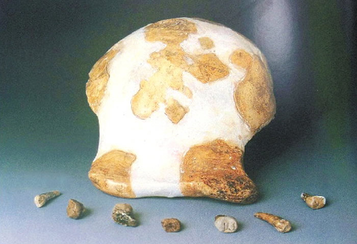 ��ԴԳ�˻�ʯ�����Ϊɶ��ǰ���˶�ʮ������