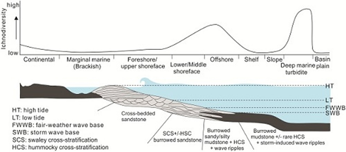 ��ͬ�������ż���ʯ����ȷֲ�����