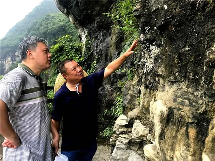 �����ﻯʯ�洦�ɼ���ר�ң�����ʡ������ͩ����Ң��ɽ��Ң��ɽ����һ�����ʲ����