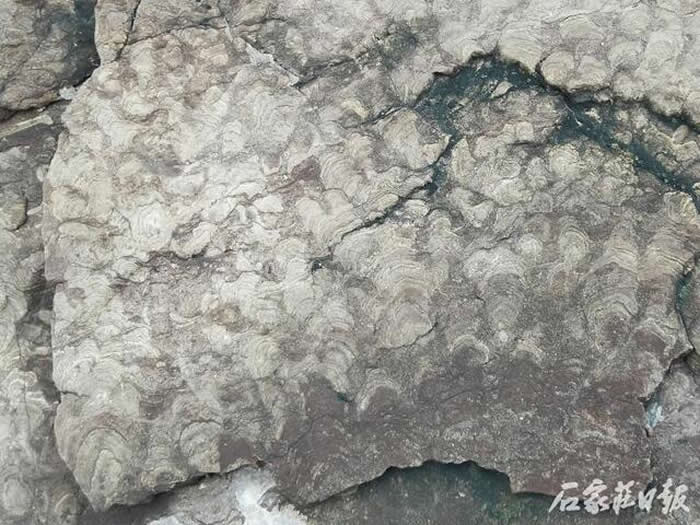 �ӱ�ʡʯ��ׯ�о����ؾ��ڷ���20����ǰ�������ż��㼰����ʯ����Ⱥ