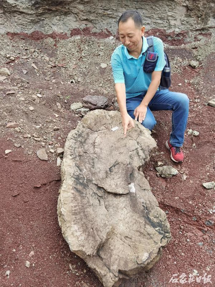 �ӱ�ʡʯ��ׯ�о����ؾ��ڷ���20����ǰ�������ż��㼰����ʯ����Ⱥ