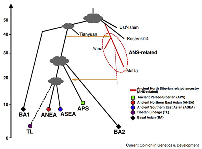ŷ�Ǵ�½������Ⱥ��ʷ��Ҫͼ