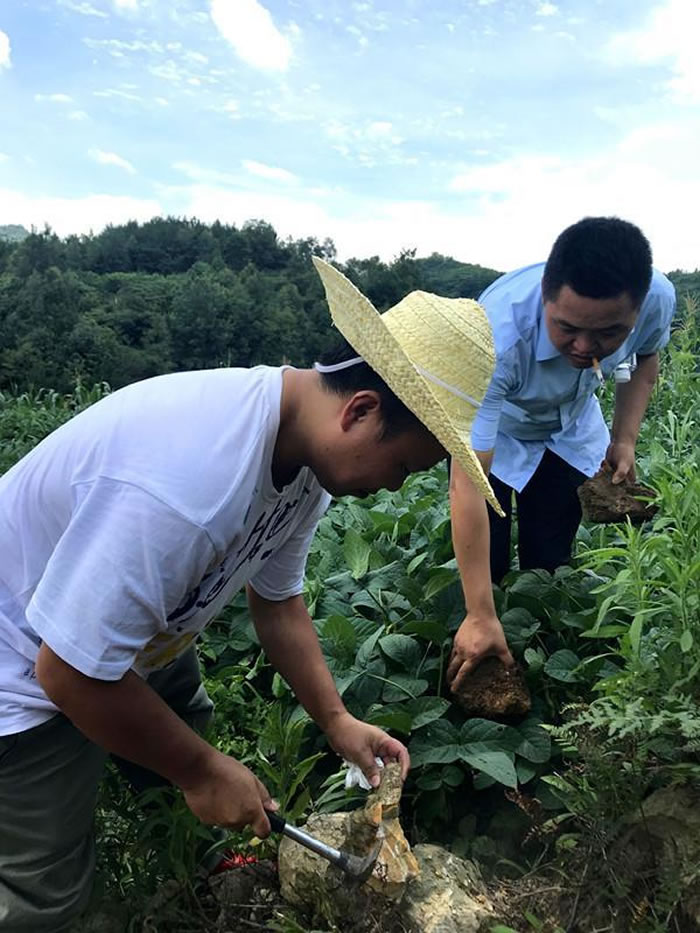 ���ݱϽ����ǹ������֡���ʯɽ�� ר�ң�������ѧ���л���