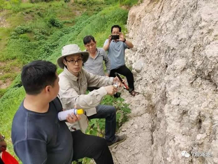 �ų��Ϻ���Գ��ַ�ڶ��η�����Ŀ��ʽ����