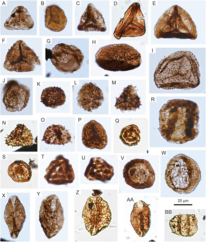 �Ĵ������������������Ĵ������߷ۻ�ʯ