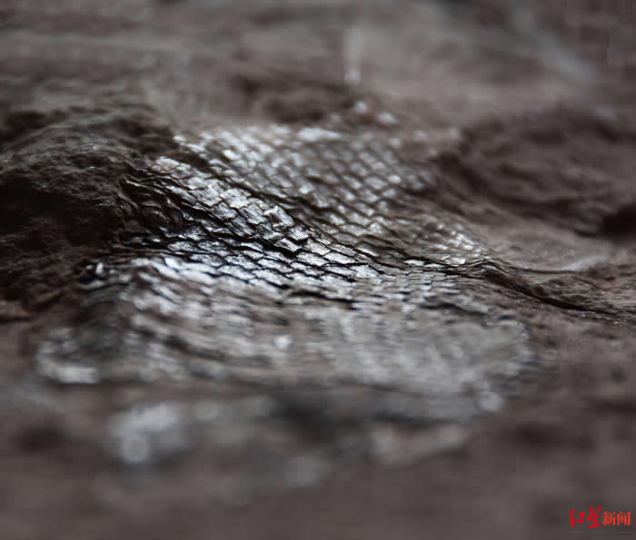 �Ĵ�ʡ�������Ҹ��Ŵ巢�����ƿ���ʱ�����۳��㻯ʯ