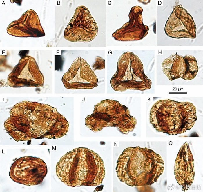 ΢�׼����߷ۻ�ʯ��ԭ2����ǰ�Ĵ���صĵ����ֱ�