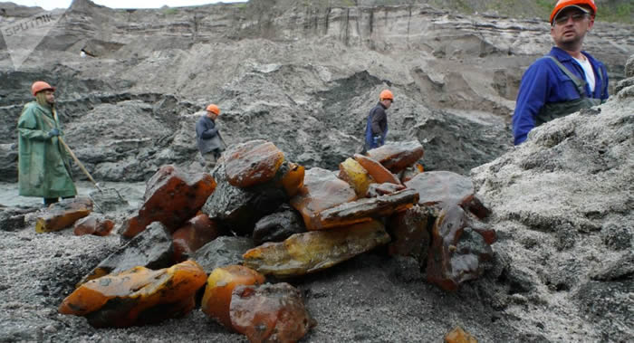 ����ͼ������˹�����������ݿ��������ֳ�