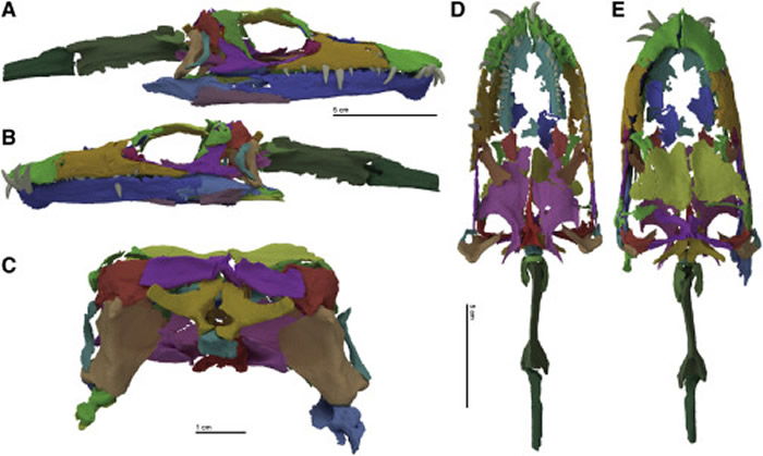 ����������ѧ����100����ǰ���ֵġ������Ӻ��֡���ʯ ��ʵ�ǳ���������������ͬ��