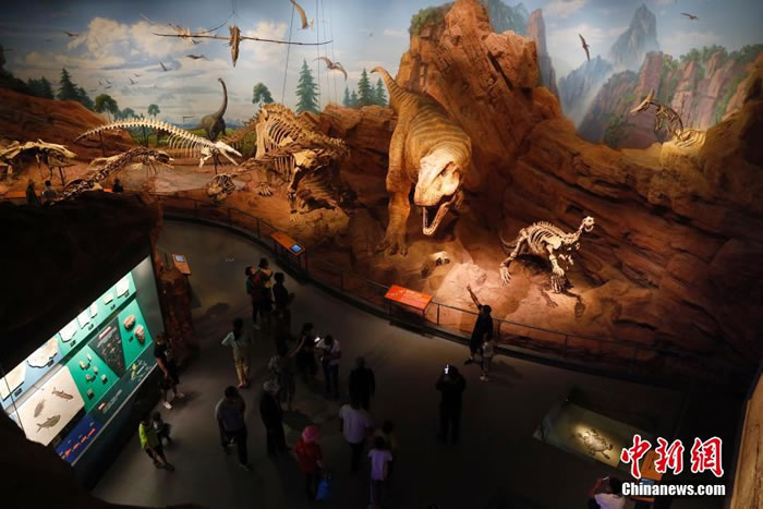 云南澄江化石地自然博物馆正式对公众开放