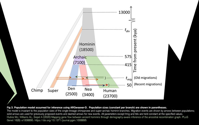 �ᰲ�����˻���������3�����ԹŴ����� ���������˻������1����������ֱ����