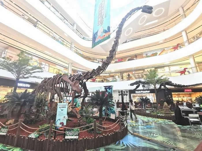 ������Ľ���֮�á����Ϳ���չ����ͷ���ı��������������