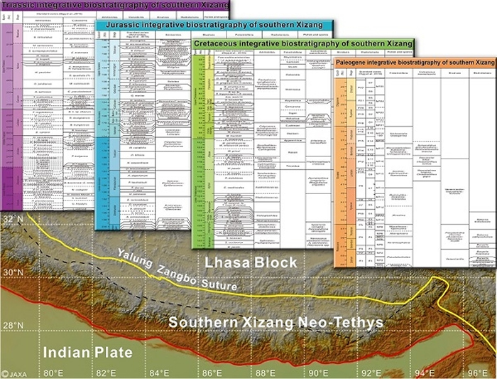 研究区及三叠纪–古近纪综合生物地层表