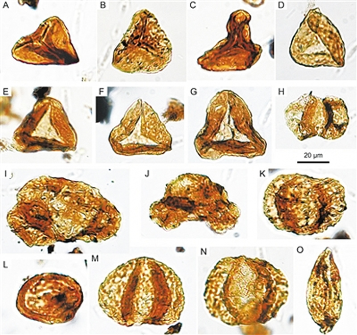 �Ĵ���������������-٪�޼�֮���Ĵ������߷ۻ�ʯ