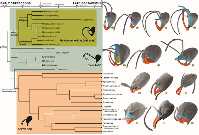 ���ϵ�ϵͳ������ϵ