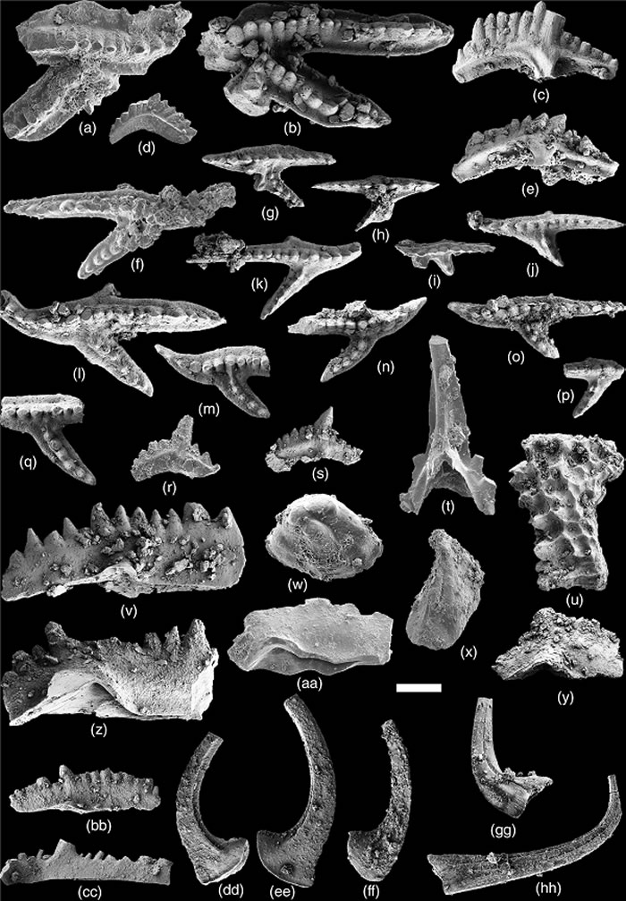 ��������顱�е����δ�