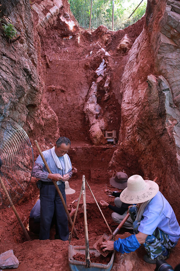 �����ߺ��з����ع�ͣ��ˮ�೧�����п�Ժ���п��ջ���