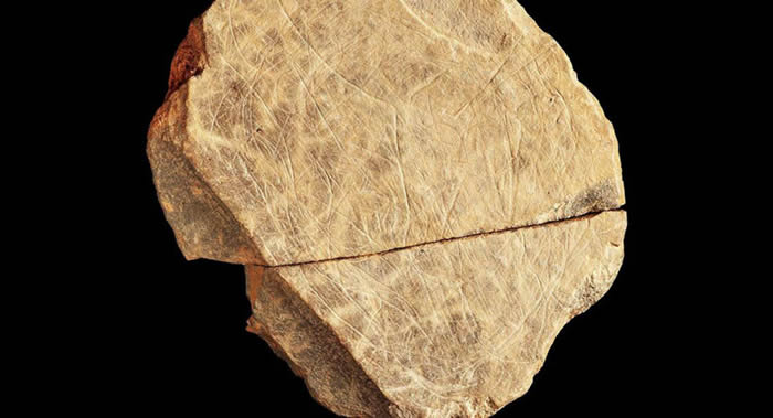 Ӣ������ѧ����������Les Varines��ַ���ֵ�ʯͷ��Ƭ�ǲ��е�Ⱥ�����������Ʒ