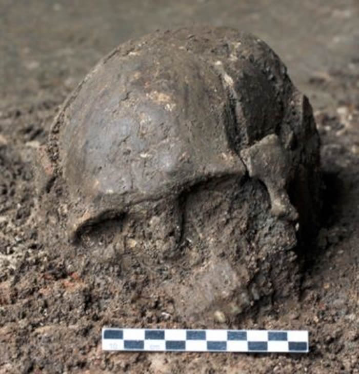 ����ʡ����ѧ��̽����ƽ���������Ͷ���������ַ