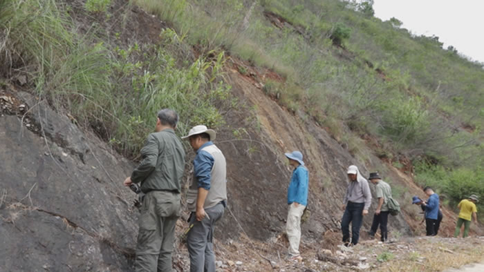 �й����ʴ�ѧר���鵽��Ԫ5����ʯ�����ʵ�ؿ���