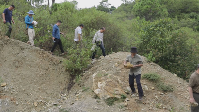 �й����ʴ�ѧר���鵽��Ԫ5����ʯ�����ʵ�ؿ���