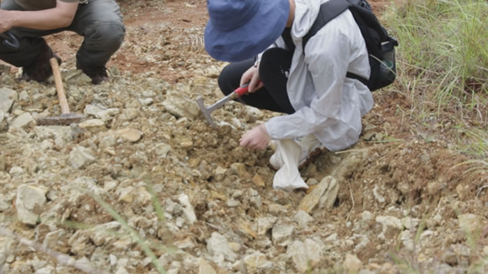 �й����ʴ�ѧר���鵽��Ԫ5����ʯ�����ʵ�ؿ���