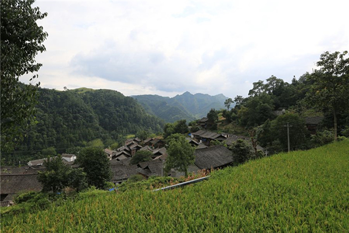 ����ǭ����������ҵ��ʹ�԰�����ذ��ɹ����ﻯʯ��������ѧ����������