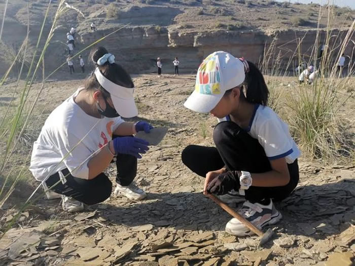 ���п˿����ż���ʯ��Ȼ����������80λ��СС���żҡ�