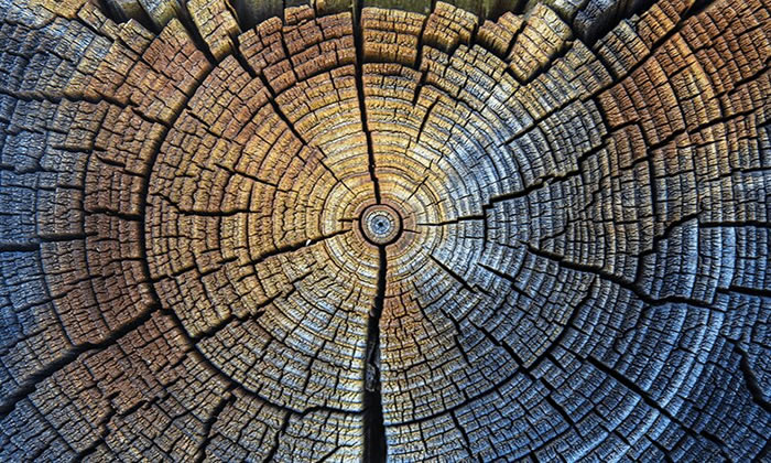 �о���Ա���ڴ��������޶��˽�5.5����ķ�����̼���귨У׼����