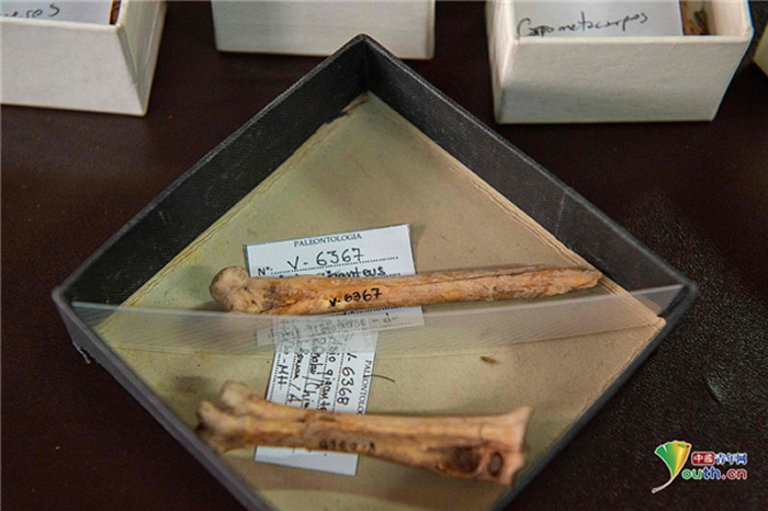 ��϶������4����ǰ����èͷӥ��ʯ������϶�����^