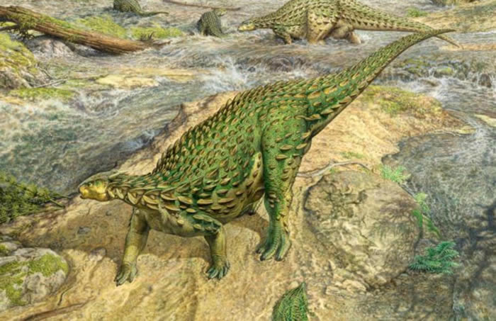 ȫ��Ψһһ�������Ŀ��������ⱳ����������ƴ�����