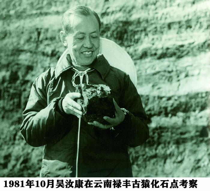 317452��С������ʽ����Ϊ�����꿵�ǡ� �����й�������ѧ��������꿵