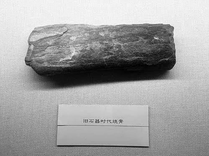 ���������ĵ�һ��ʥ��������ȼ������ȷ���180����ǰ���������û��֤��