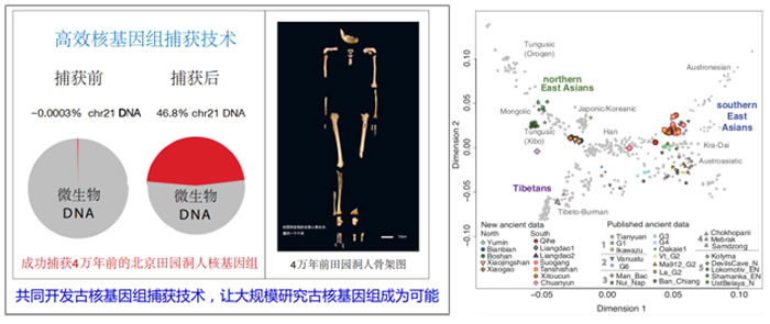 �Ż�������������ݻ�