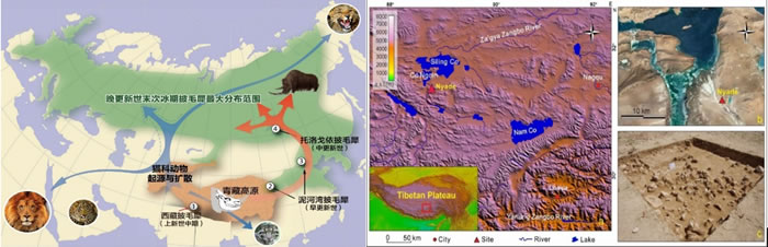 ��ؿƿ��ش�ͻ��