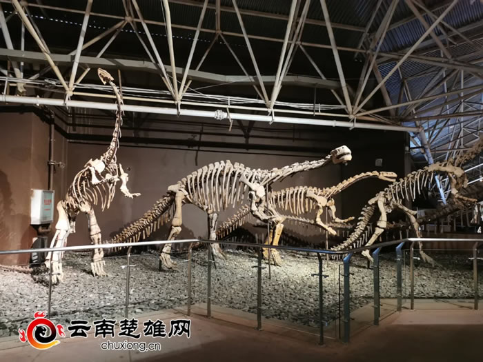 »������Ȳ���ݻ�ʯ�޸�ʦ���������������