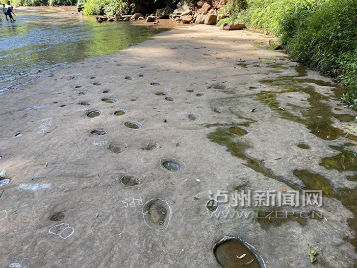 黄荆景区长滩的蜥脚类恐龙足迹