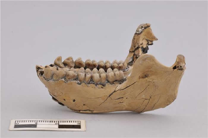 ������ͨˮ���ӷ��ֵĻ�ʯ�걾��ʾ���޽�˿�����ȿ�����640����ǰ����ͨ�к�