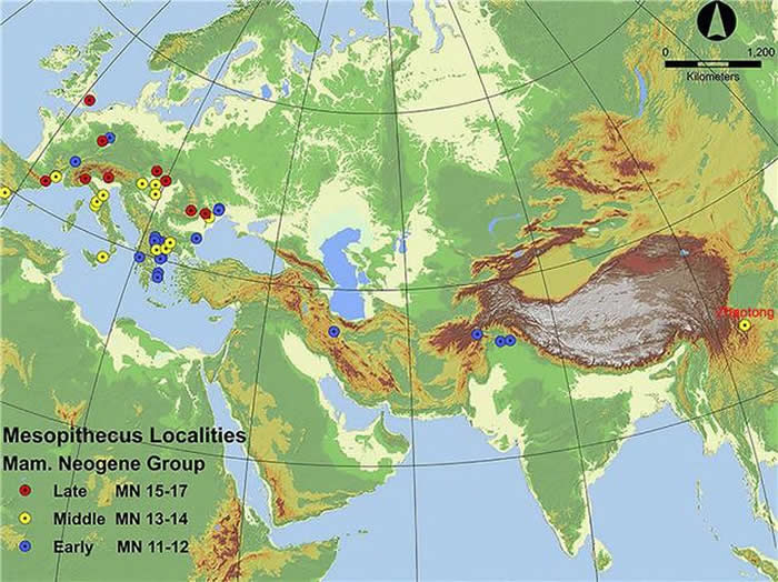 ������ͨˮ���ӷ��ֵĻ�ʯ�걾��ʾ���޽�˿�����ȿ�����640����ǰ����ͨ�к�