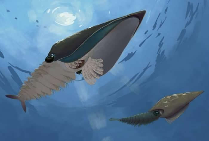 ɽ�����ʷ���5����ǰ��������Ƕ�����Ϻ��Ʒ�֡���������Ϻ��ʯ �о�13�������