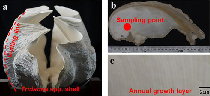��a���ǻ�ʯ������壻��b�����и����п��õ�������������棻��c�������������Ʋ㡣